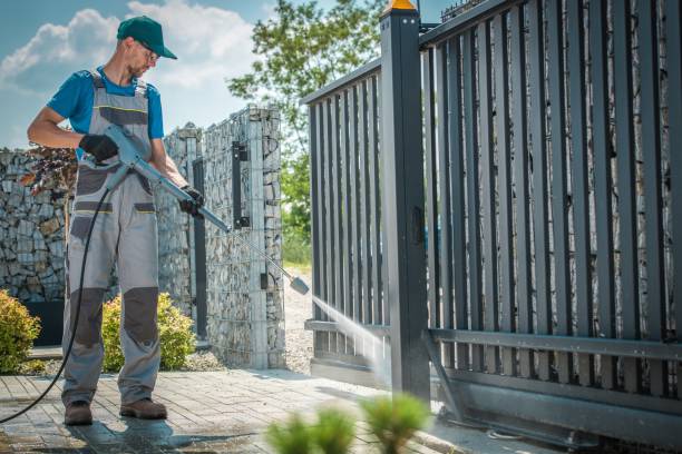 Best Driveway Pressure Washing  in Palmhurst, TX