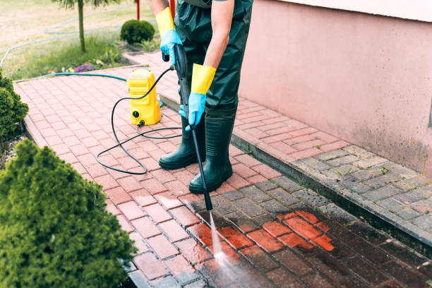 Best Spring Cleaning  in Palmhurst, TX