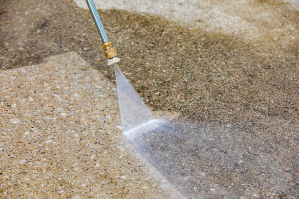 Best Dumpster Area Cleaning  in Palmhurst, TX