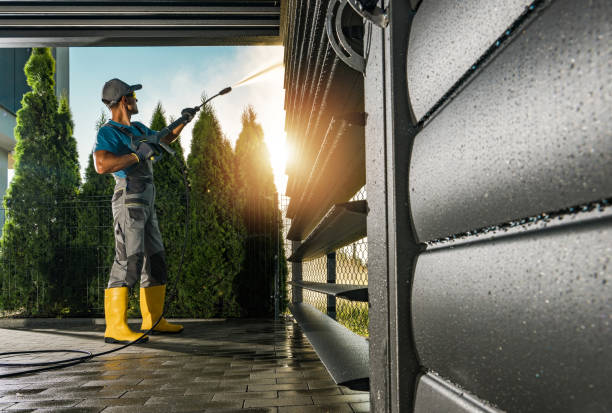 Best Graffiti Removal  in Palmhurst, TX
