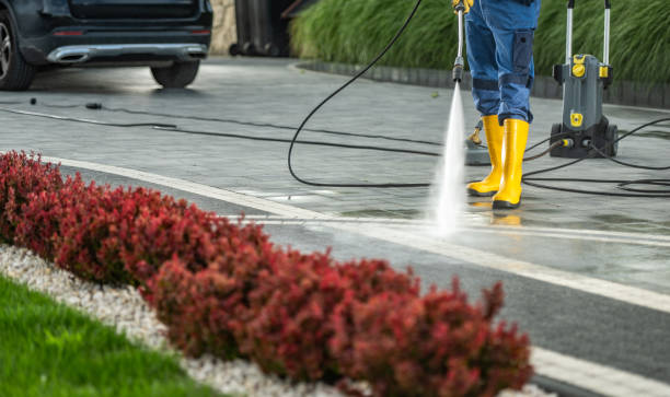 Best Gas Station Cleaning  in Palmhurst, TX